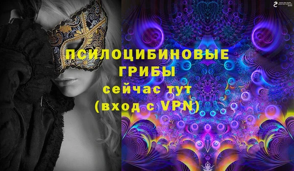 винт Надым