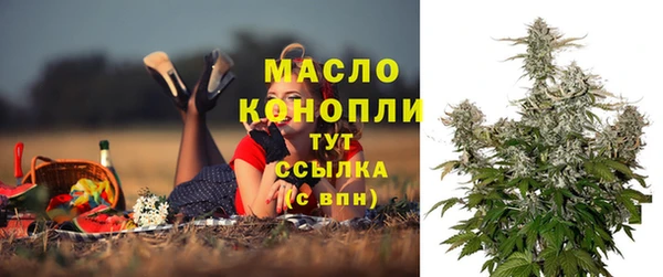 винт Надым