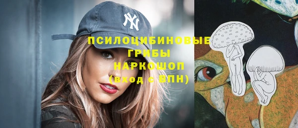 винт Надым