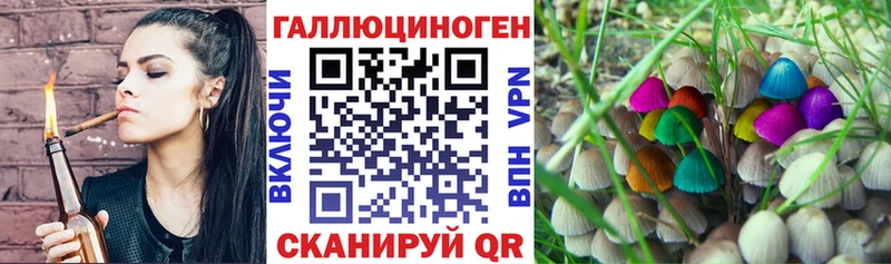 Галлюциногенные грибы Psilocybe  цена наркотик  мега ссылка  Псков 