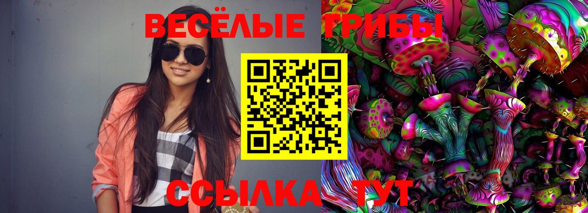 Псилоцибиновые грибы Psilocybine cubensis Псков