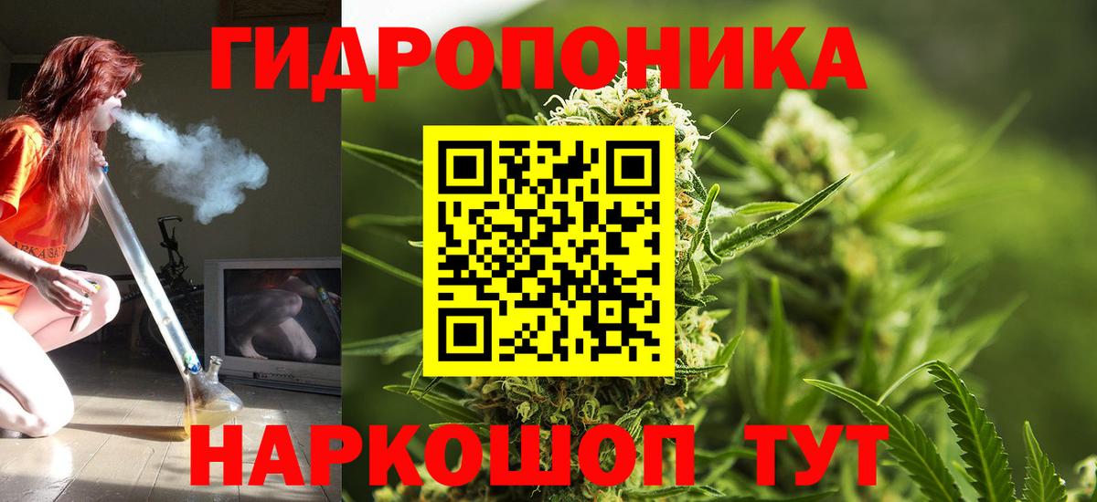 Конопля конопля Псков
